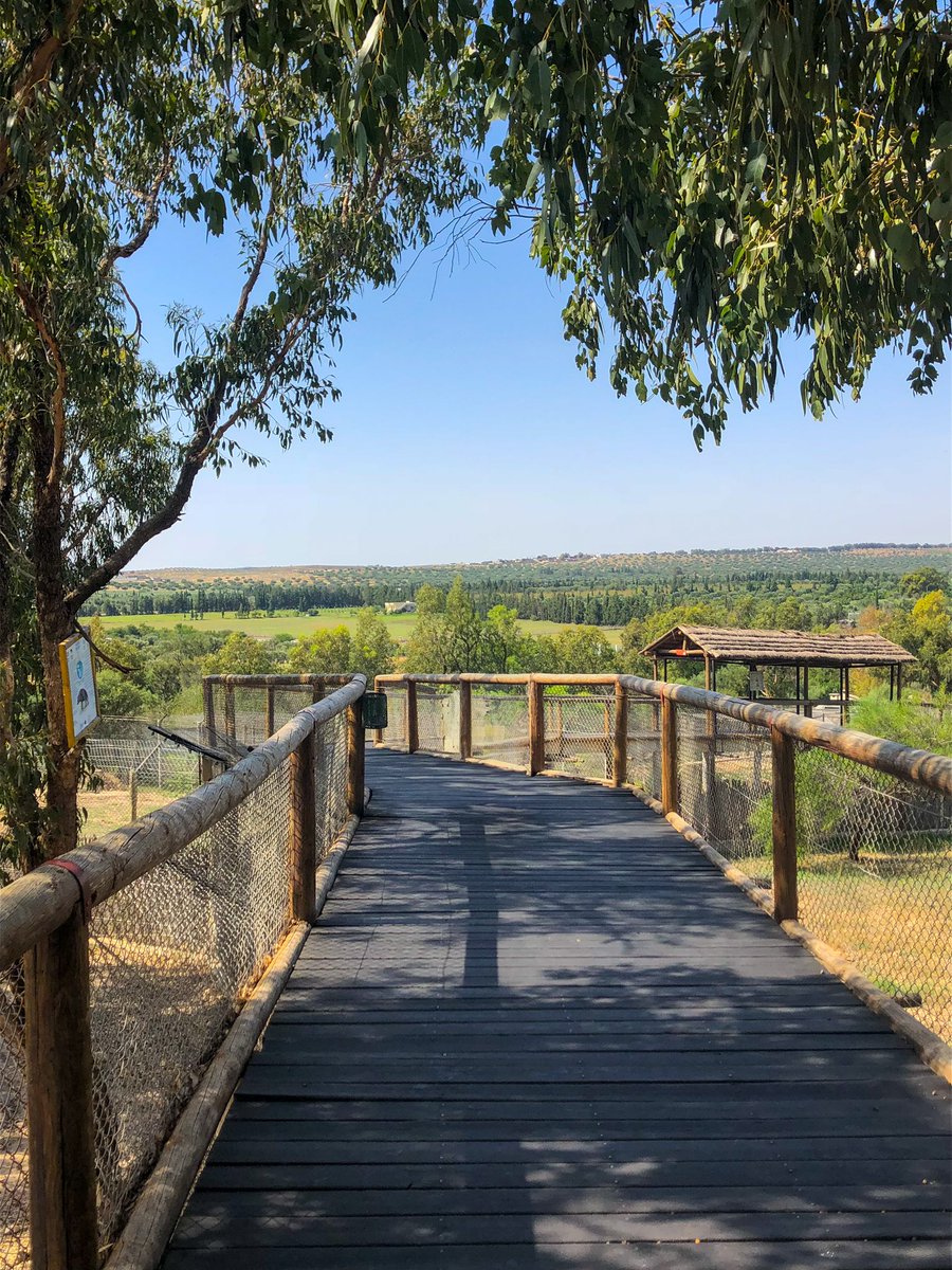 minniebon43's tweet image. Shadows and view! 

#shadows #walkway #landscape #tunisia