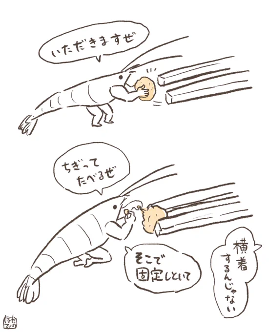 うちのエビちゃん、いつも割り箸でごはん渡すと手で受け取ってくれるのに今日はちょっと横着でした☺️ 