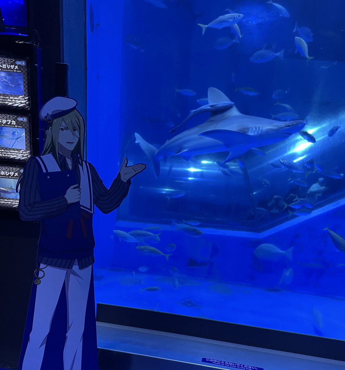 zstkb11's tweet photo. #再び理由あってシーパラ #SideM https://t.co/cRwvCsOWT5