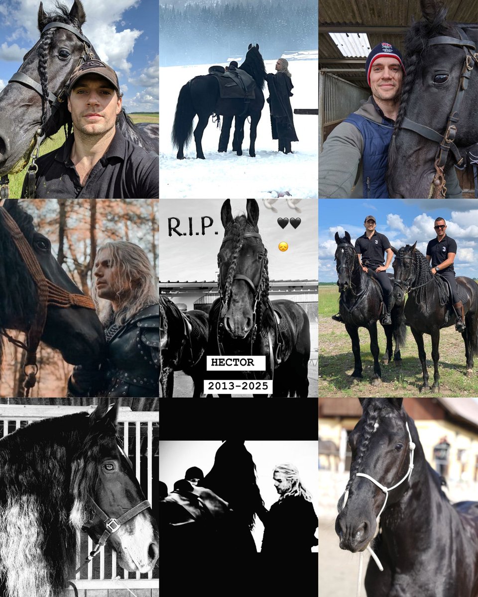 The beautiful horse that played Geralt's second Roach in the Witcher Season 2 and 3 has sadly passed away. 💔

R.I.P Hector 😢🙏🐴🕊