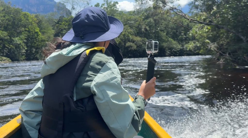 Al aire nuestro especial de CANAIMA youtube.com/live/iT2xFwazC…