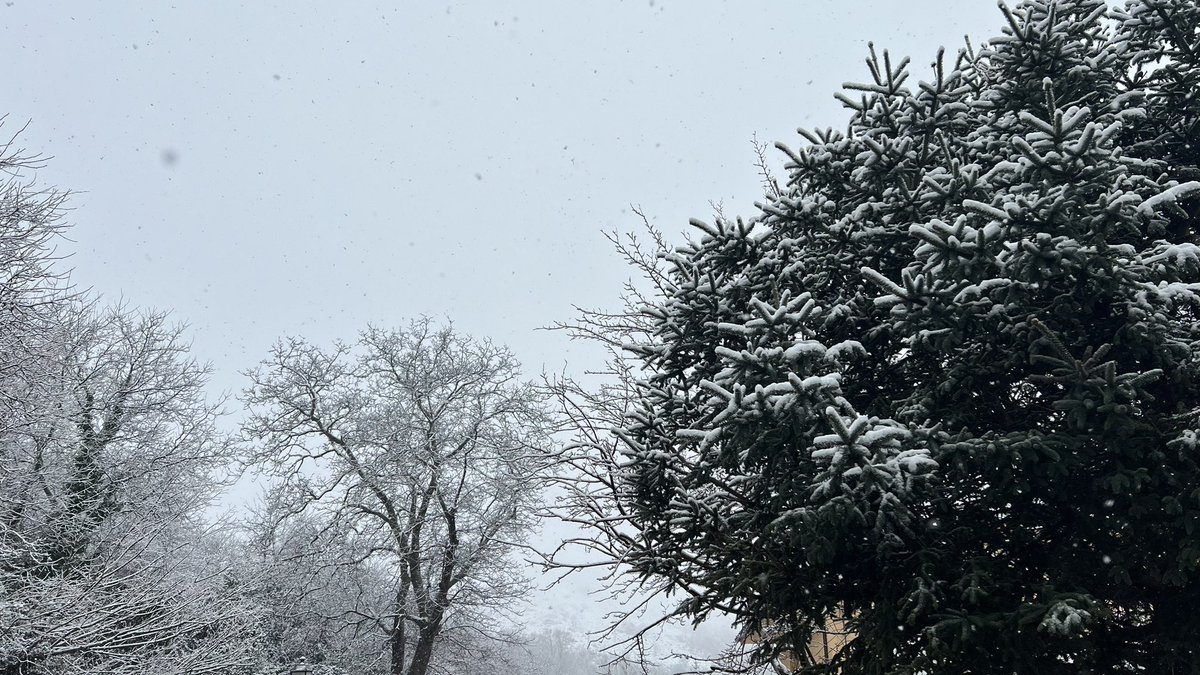 Mientras contemplamos este majestuoso árbol nevado, nos inspiramos en la belleza de la naturaleza para planificar  proyectos de <a href="/CiaesSenda/">Ciaes de Senda</a>. Cada detalle cuenta en nuestro proyecto, buscando crear un camino que conecte a todos con el entorno y la comunidad.<a href="/sendamsde/">Senda msde</a>