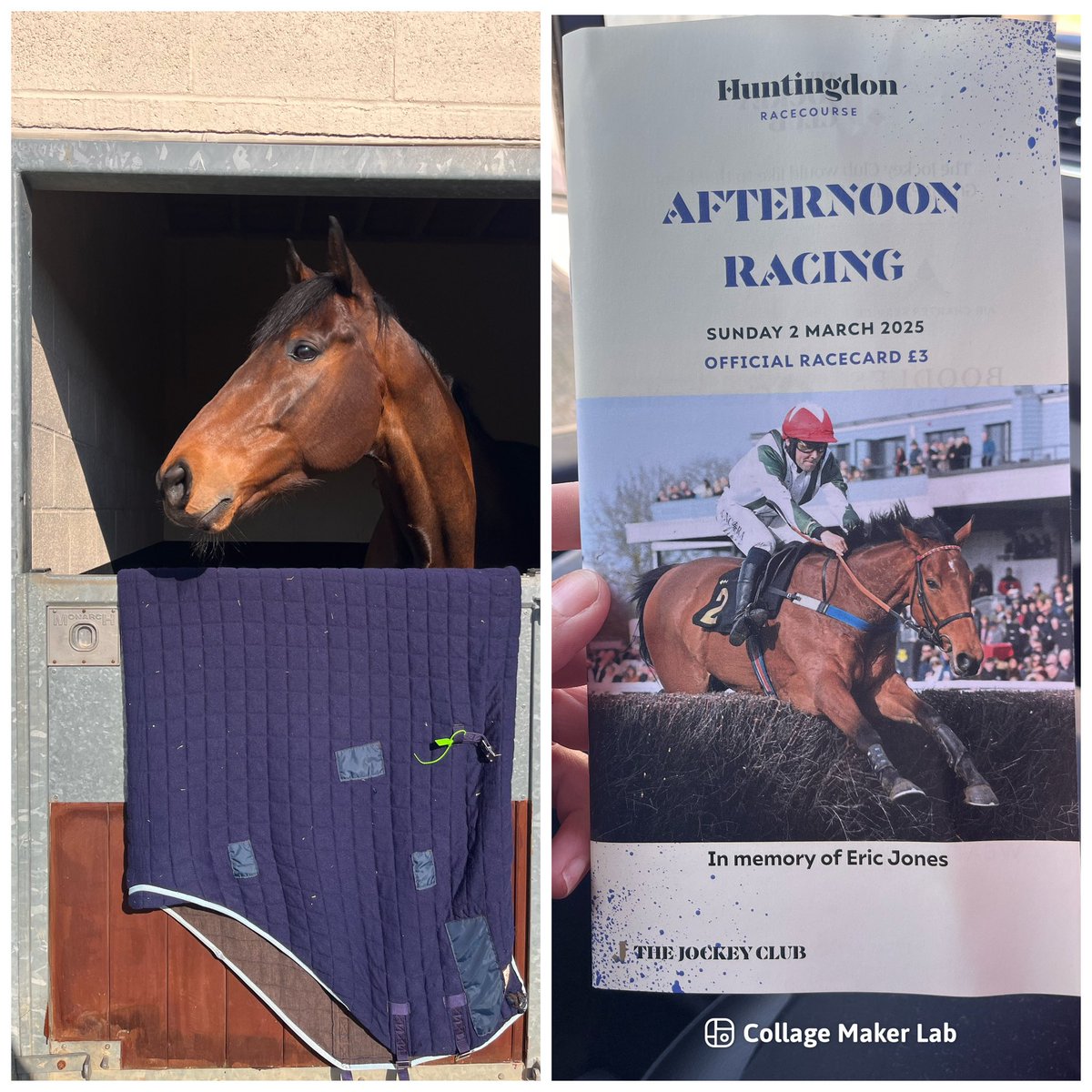 SPearce_Racing's tweet photo. Abraaj has arrived at @huntingdon_race to run in the 4.27pm in memory of are dear friend and owner Eric Jones! #jumpracing #horseracing #inmemory #ericjones #owner #racehorses #hurdles #comeracing https://t.co/ECuSEOoCVQ