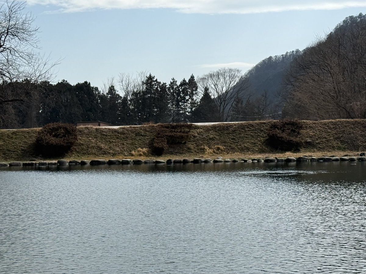 銀まる tweet media