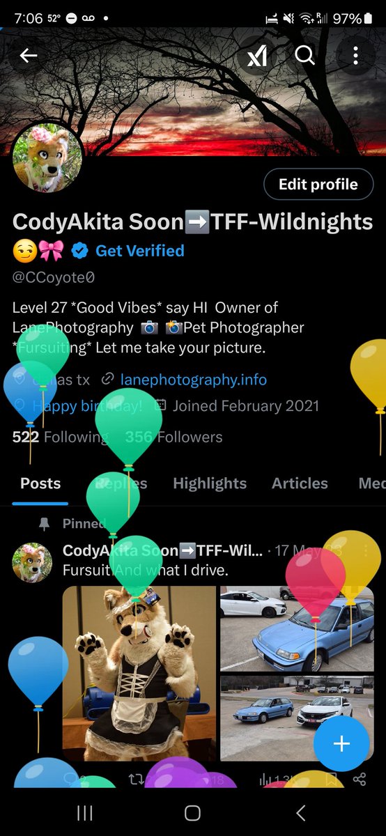 Cody&Cooper@TFF🤪 tweet media