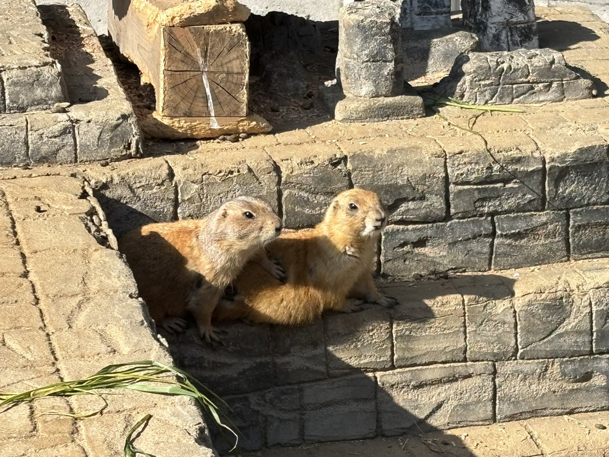 UNcodeR2's tweet image. 伊豆旅行楽しかったです。