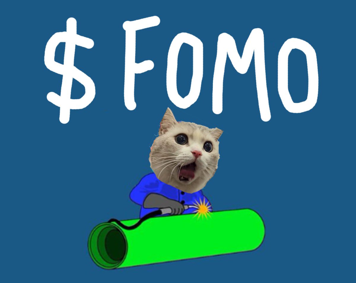 @SolNorsey Let FOMO kick in, stack $FOMO the cat and lock in!