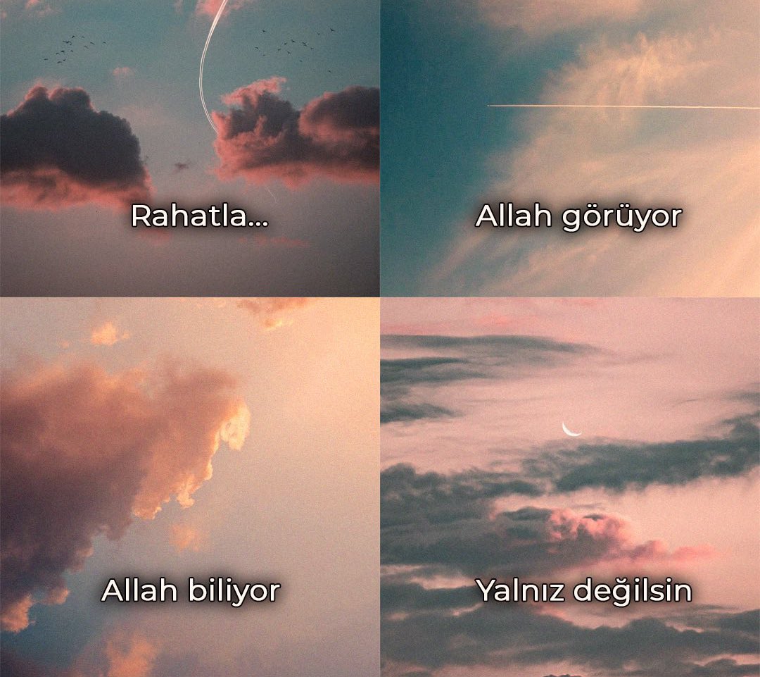 Elif ✨ (@lamelif59) on Twitter photo 