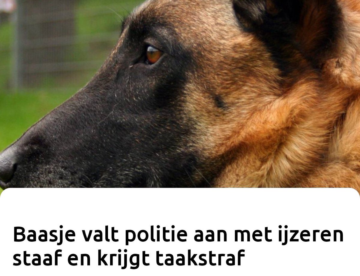 Baasje valt politie aan met ijzeren staaf en krijgt taakstraf