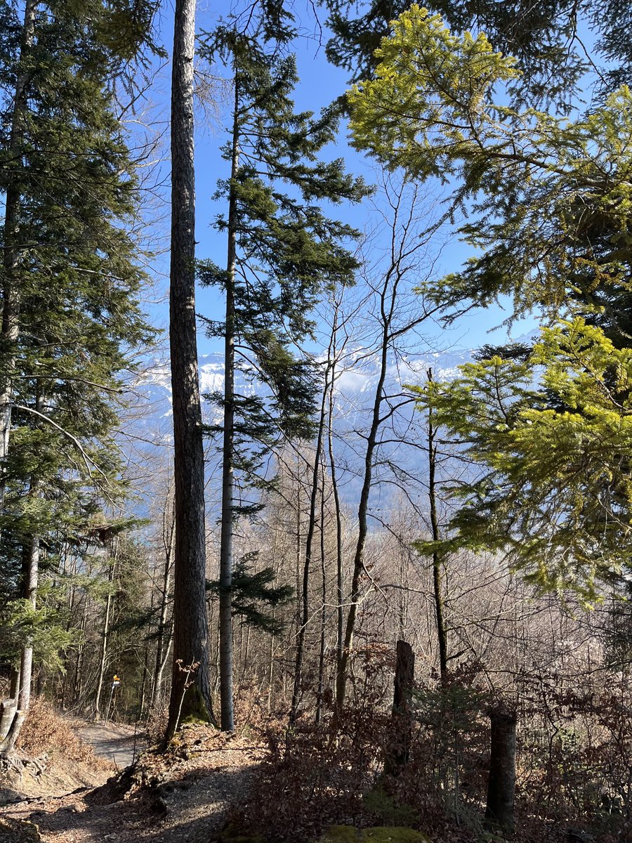 PinkTaxiRunner tweet media