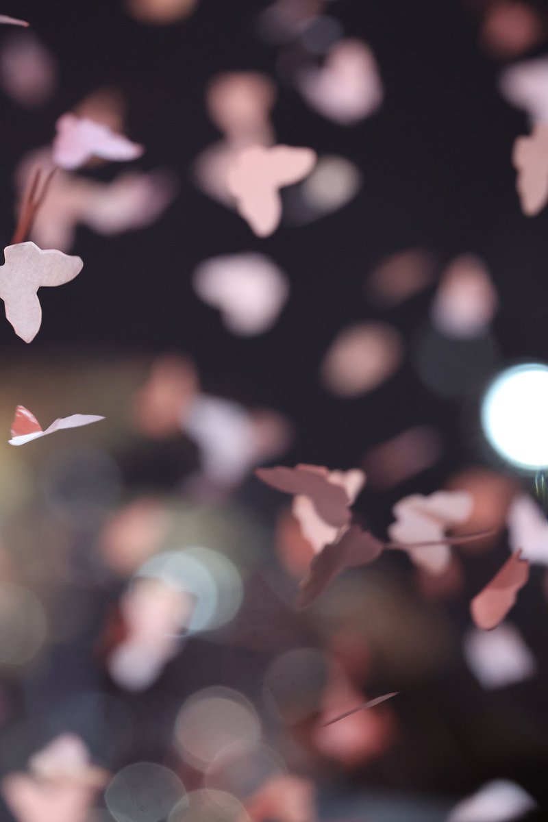 onehanika's tweet image. 핀나가서잘못찍었는데이쁨