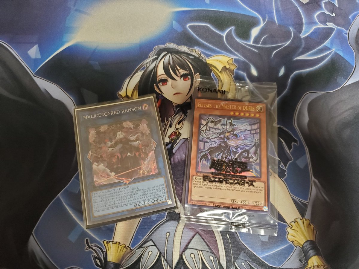 日本選手権　店舗予選
使用　マリス
マリス○×○
ライゼオル○○
白き森○×○
ライゼオル×○○
無事に今年も権利取れました！