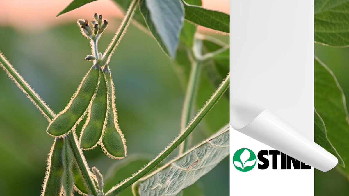 De los inicios limpiando variedades de soja con una máquina portátil, a ser una de las empresas más relevantes en genética de soja y maíz.
Sale hilo 🧵