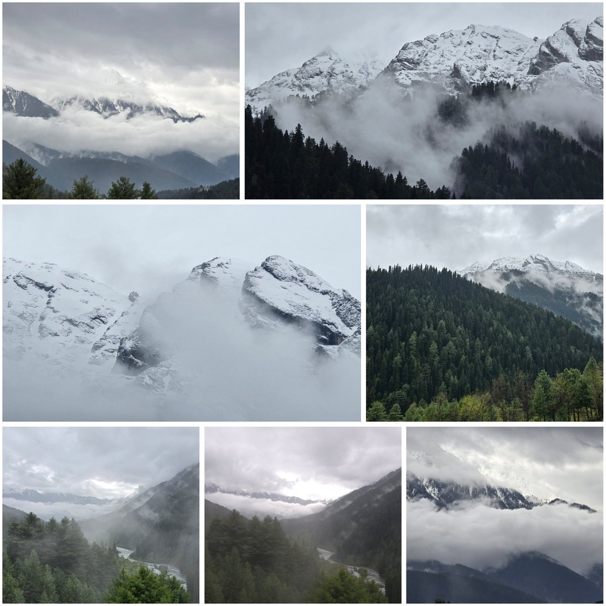 WajahatIqbal2's tweet image. Serenity abound!!
#pahalgam #Kashmir #mountainscape #landscapephotography #moodyweather #Snowfall #landscapephotography