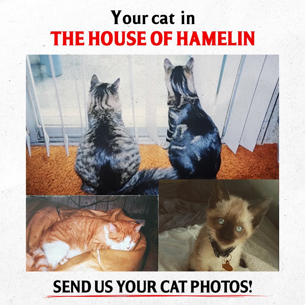 We're adding a few cat photos to The House of Hamelin and thought it'd be fun to give people the opportunity to have their cat in the game! If you're interested, check the form below for submissions😺