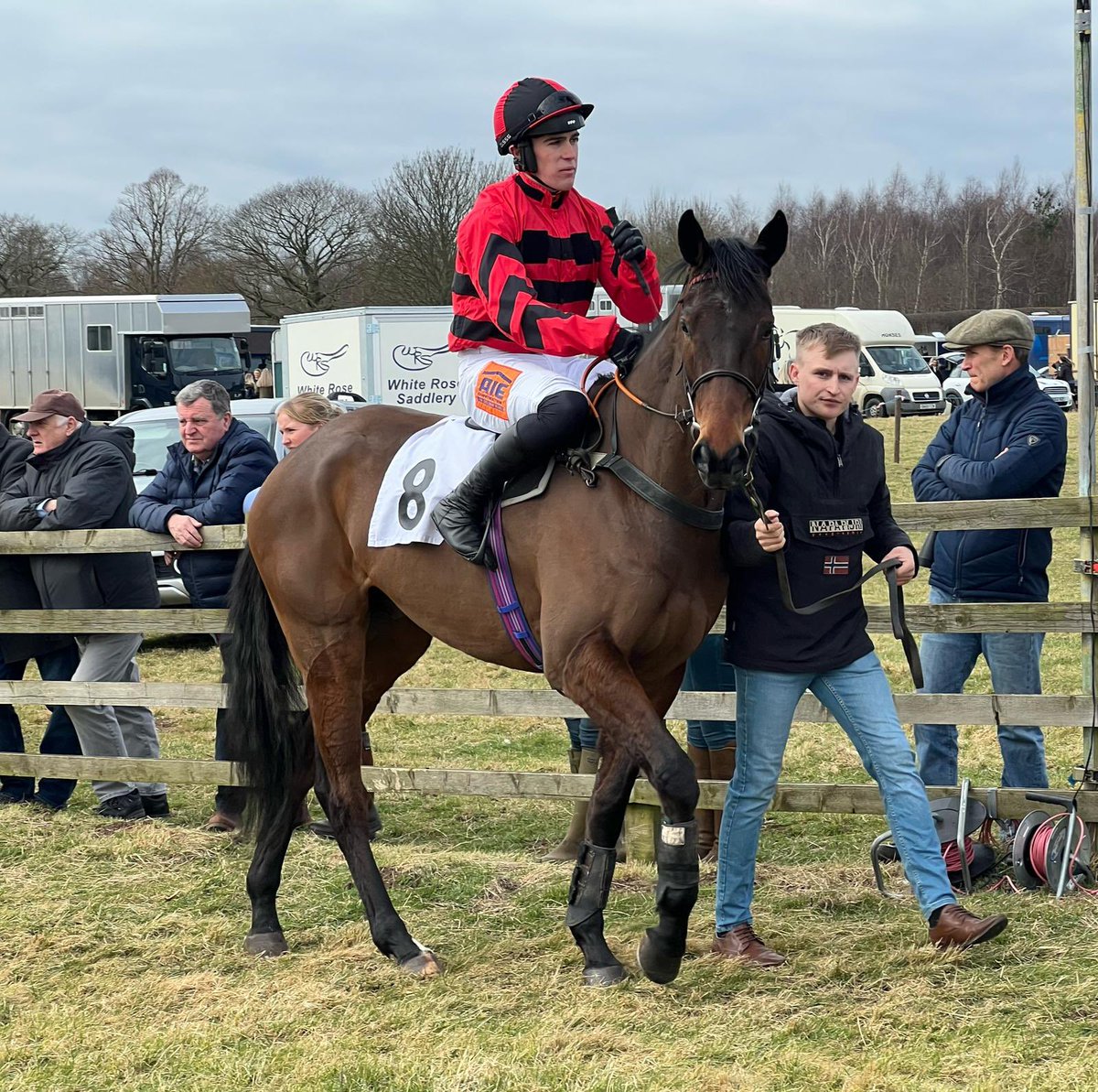 Tom Scudamore (@tommyscu) on Twitter photo Pleasing debut from 4yr old March On Oxo, splitting 2 exciting 5yr olds. <a href="/Eccleswallcourt/">Eccleswall Court Pre Training</a> <a href="/MccainToby/">Toby McCain-Mitchell</a> @GoPointing Pleasing debut from 4yr old March On Oxo, splitting 2 exciting 5yr olds. <a href="/Eccleswallcourt/">Eccleswall Court Pre Training</a> <a href="/MccainToby/">Toby McCain-Mitchell</a> @GoPointing