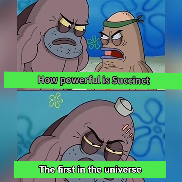 my meme,check it
<a href="/SuccinctLabs/">Succinct</a>
#SuccinctRockStars