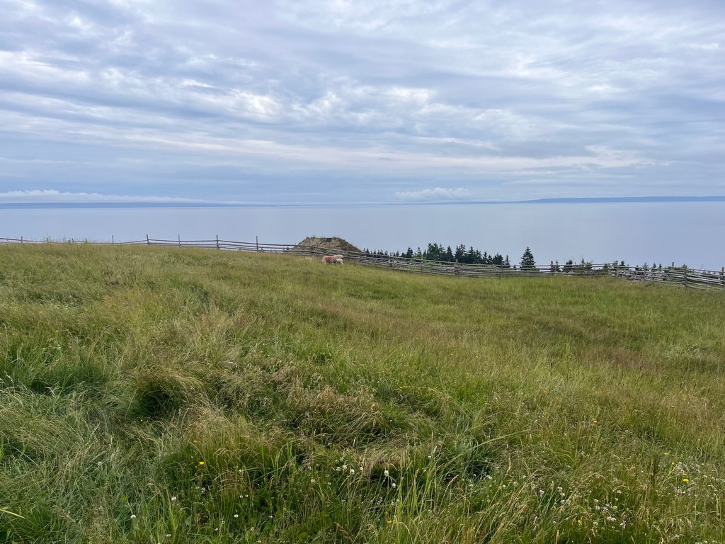 Highland Village tweet media