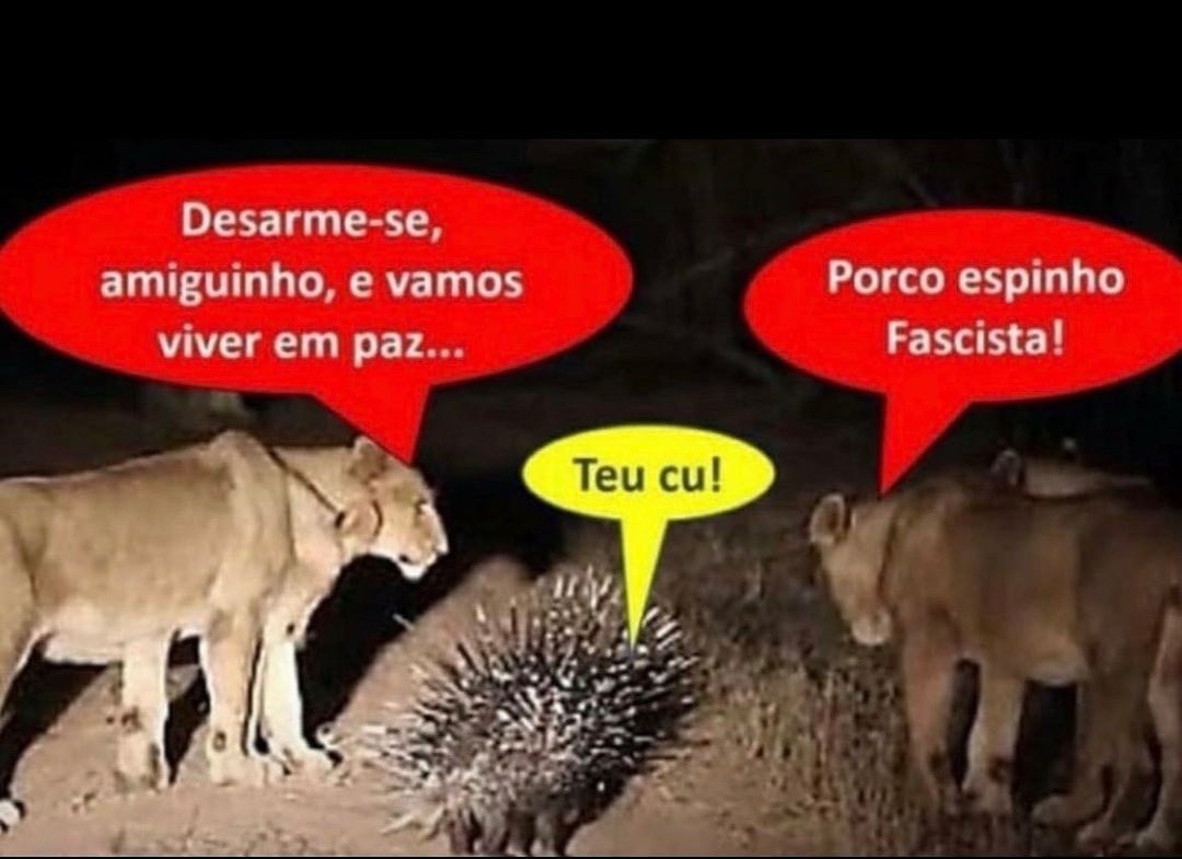 Quem é Satoshi (@quem_e_satoshi) on Twitter photo 