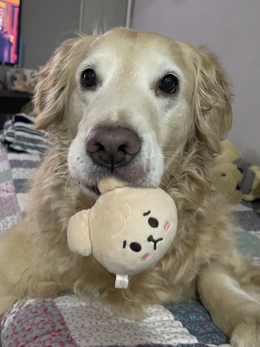 ruby_sm_'s tweet image. 🥺