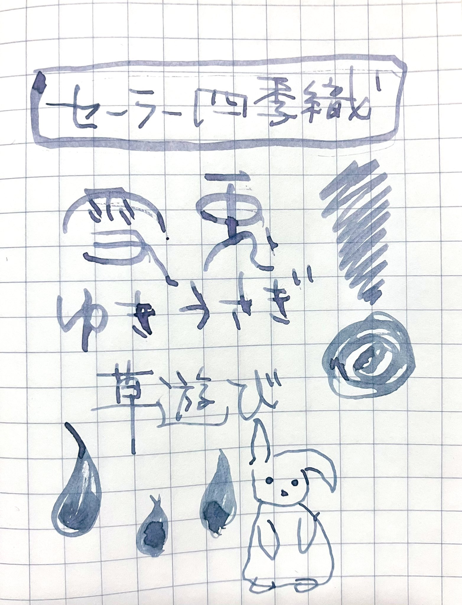 ★育成株★王妃笹の雪A型　白覆輪　ピンキー　① PK06 ピンキー 王妃笹の雪A型 白覆輪（アガベ フィリフェラ）