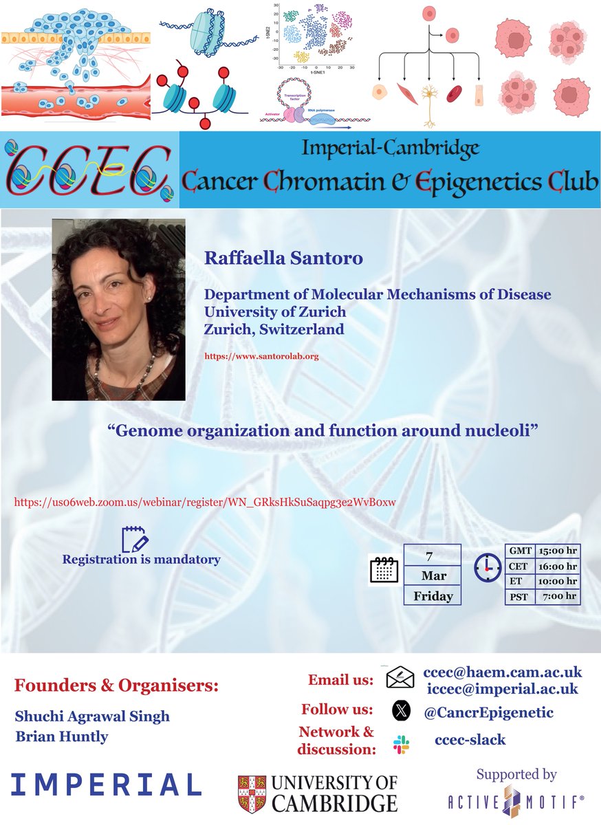 CambridgeCancerEpigeneticClub (@cancrepigenetic) on Twitter photo Next CCEC seminar is round the corner, Friday7thMarch 3PM UK🇬🇧⏰. You want to know; 'core epigenetic and chromatin regulatory systems' join us with Raffaella Santoro <a href="/LabSantoro/">RaffaellaSantoroLab</a> from University of Zurich, our keynote. Link👇us06web.zoom.us/webinar/regist… <a href="/ShuchiChromaBio/">Shuchi Agrawal Singh</a> <a href="/activemotif/">Active Motif</a> Next CCEC seminar is round the corner, Friday7thMarch 3PM UK🇬🇧⏰. You want to know; 'core epigenetic and chromatin regulatory systems' join us with Raffaella Santoro <a href="/LabSantoro/">RaffaellaSantoroLab</a> from University of Zurich, our keynote. Link👇us06web.zoom.us/webinar/regist… <a href="/ShuchiChromaBio/">Shuchi Agrawal Singh</a> <a href="/activemotif/">Active Motif</a>