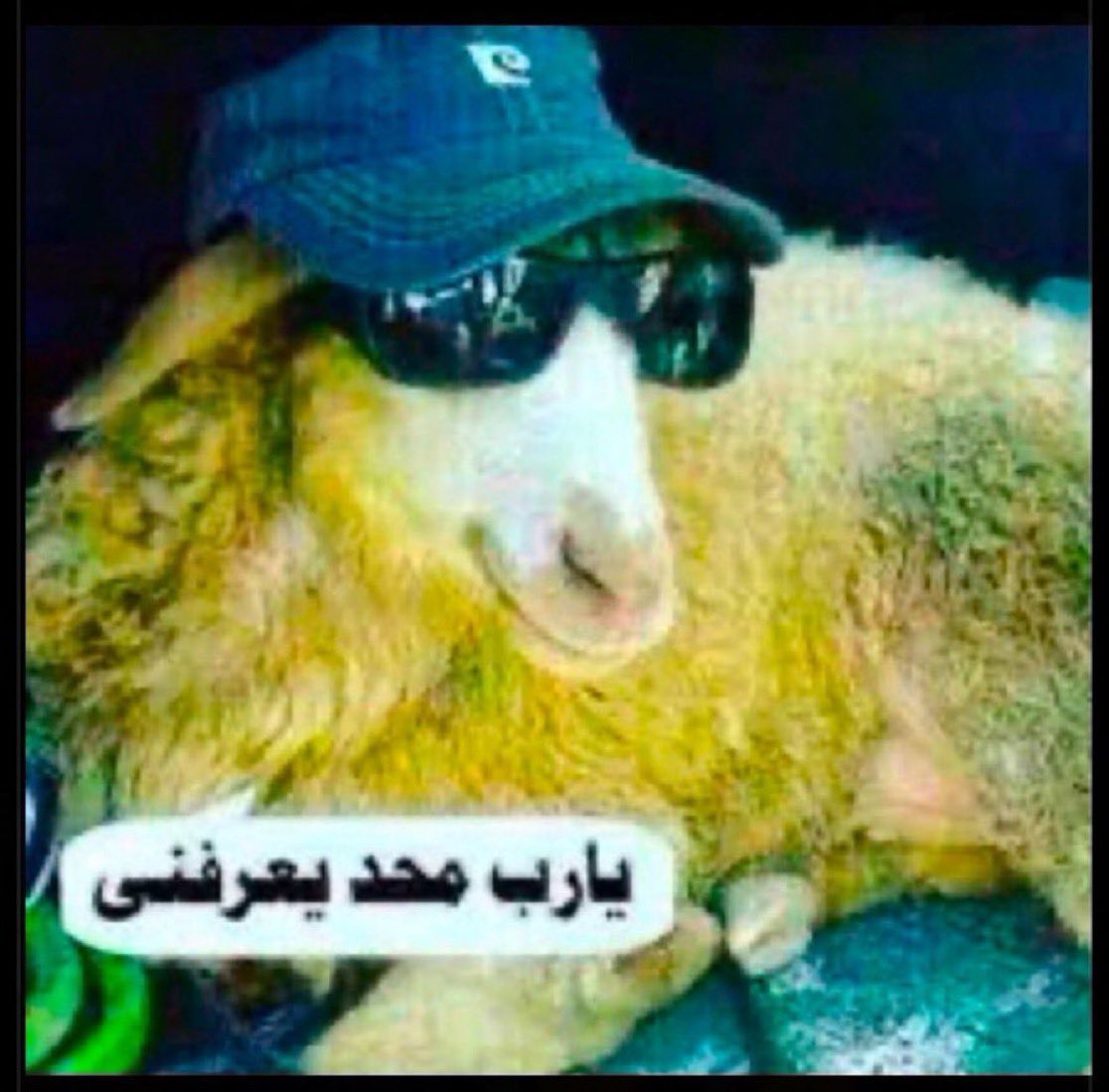 Z19llk's tweet photo. @gazzi_24 https://t.co/a03zEbbJwu