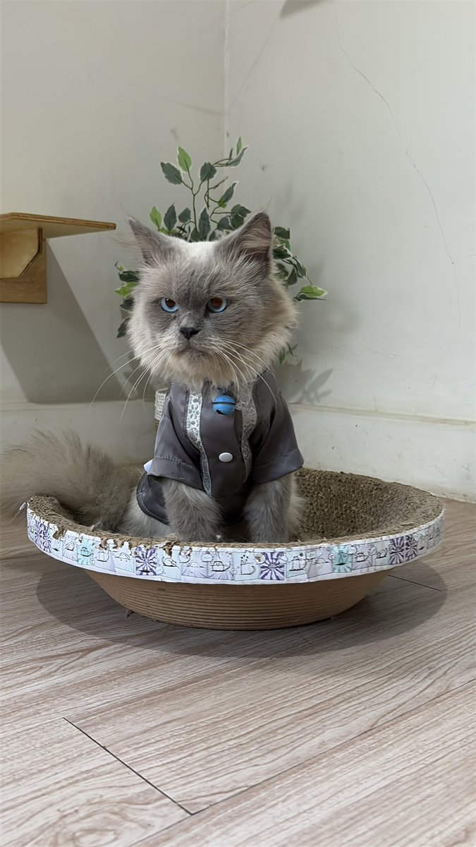 vinncats's tweet photo. Siap war takjil 🫡 https://t.co/PtqZLxJrnt