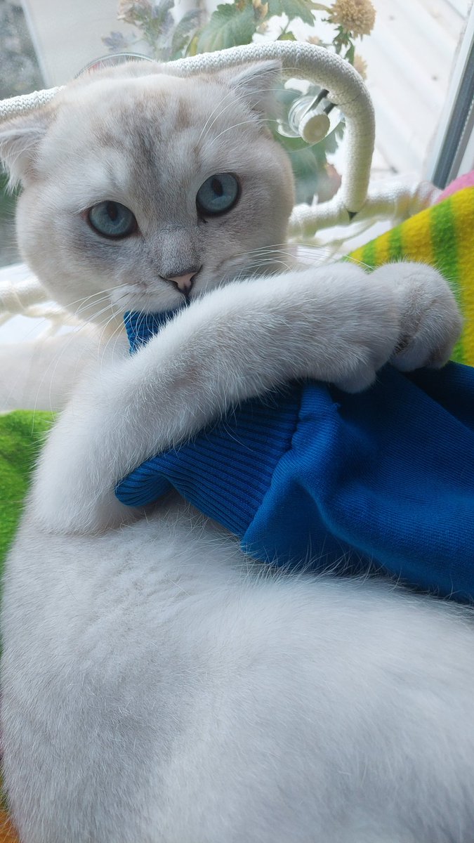 ane kadımı ısıyorun. sebebi de canimim oyle istenesi