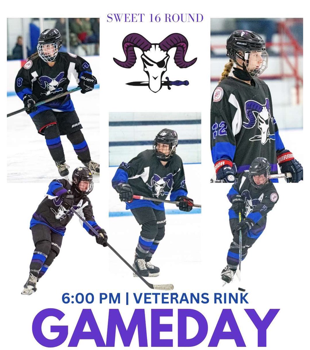 Shawsheen-Bedford-Lowell Girls Hockey (@shawgirlshockey) on Twitter photo 
