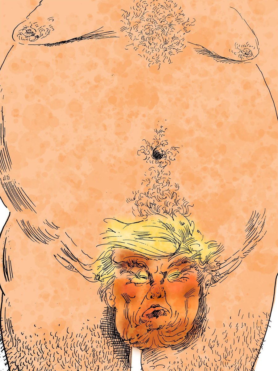 An illustration from a great and personal friend of mine - Louis Netter, an American no less. 
#WankerInTheWhiteHouse