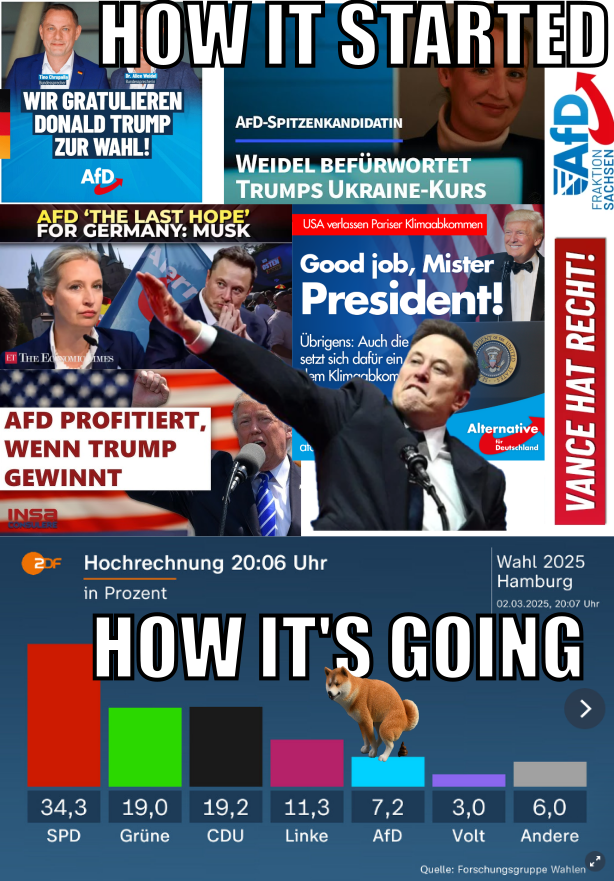 DB3TK's tweet photo. #NAFO Fellas, today was the first election in Germany after the shitshow in the White House - the state election in Hamburg. It went not good for the vatniks:<8%, compared to 20.8% in the national elections last week. https://t.co/65r2k0VABV