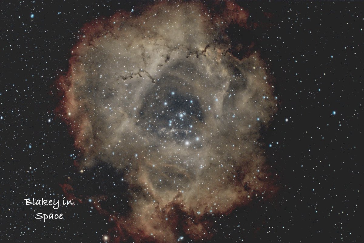 Rosette nebula from my backgarden in Tiptree! #Astronomy