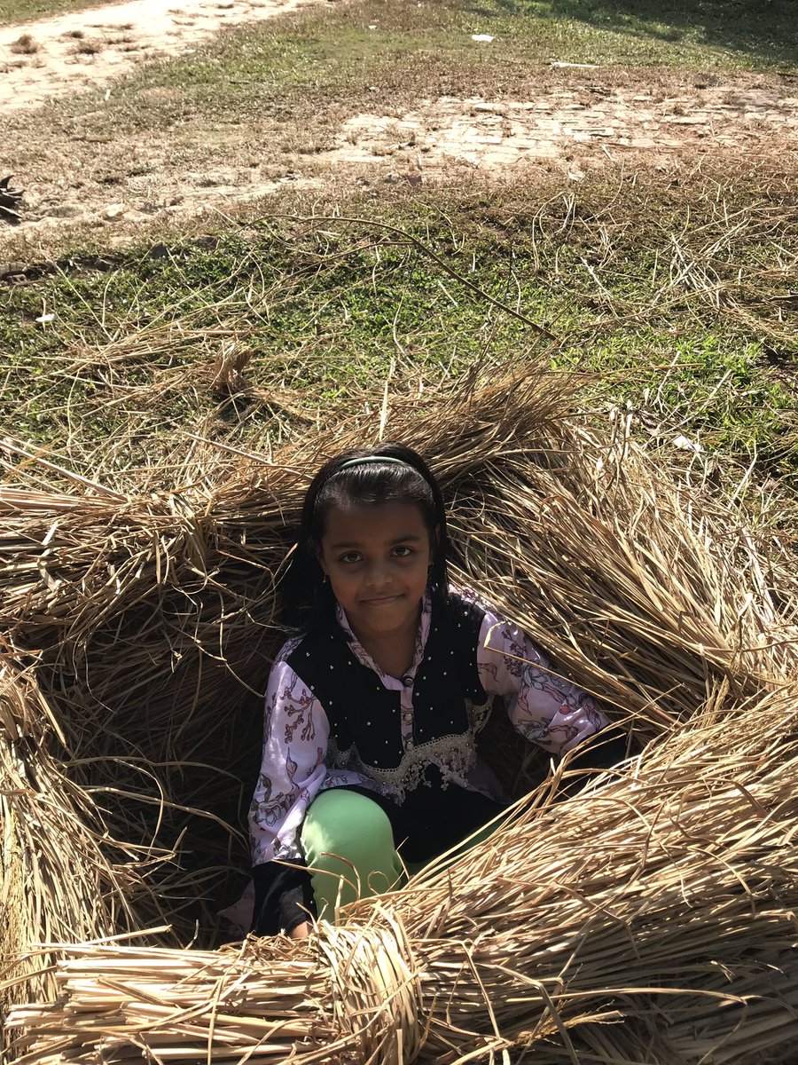 InnoZoo's tweet photo. Paddy in the village-inside my daughter https://t.co/7Wsk1jTc4b