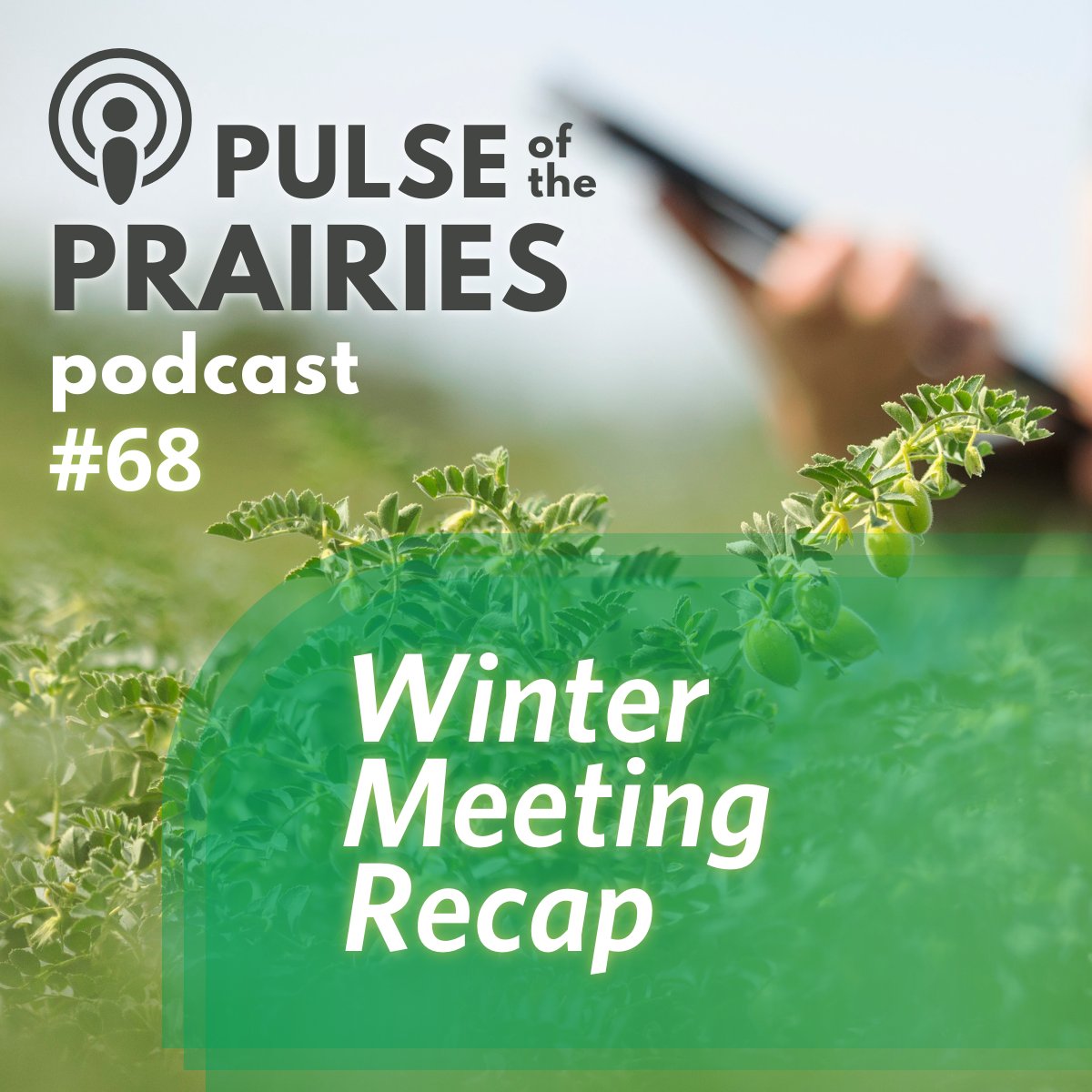 Saskatchewan Pulse Growers (@saskpulse) on Twitter photo The 2025 winter pulse meetings have come to a close and we learned lots from leading industry experts on the latest developments in the pulse industry and what growers need to know. Learn more in this podcast episode: spotifycreators-web.app.link/e/EwuwMW31YQb <a href="/AgronomistSPG/">SPG Agronomy Team</a> The 2025 winter pulse meetings have come to a close and we learned lots from leading industry experts on the latest developments in the pulse industry and what growers need to know. Learn more in this podcast episode: spotifycreators-web.app.link/e/EwuwMW31YQb <a href="/AgronomistSPG/">SPG Agronomy Team</a>