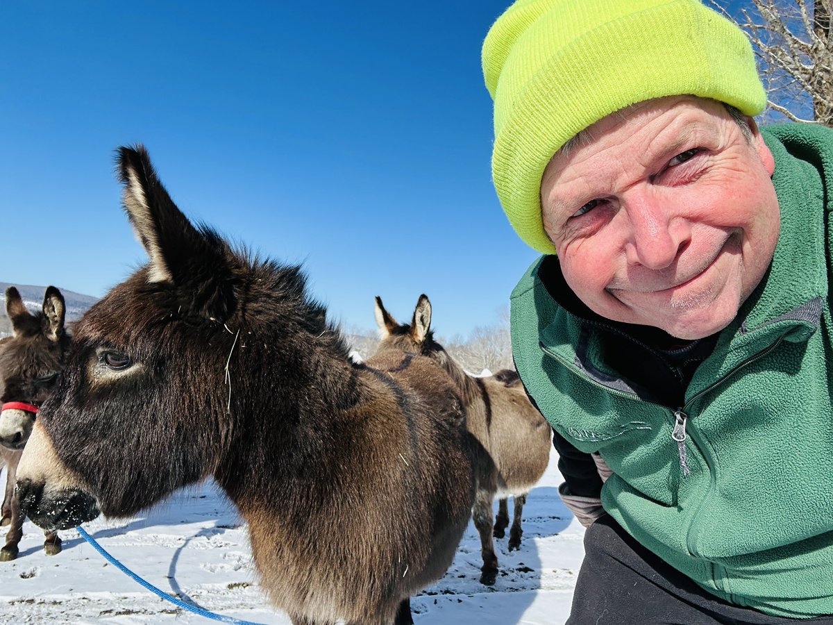 anson_ag's tweet photo. You bet it’s cold. 🥶 No sap running today but the donkeys enjoyed the stroll to the sugar house on a sunny Sunday afternoon. Warmer later in the week. #vtwinter #maple #minidonkeys https://t.co/HiQdInCugM
