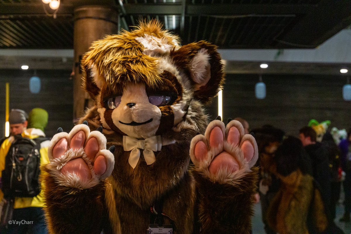 Thank you <a href="/VayCharr/">Vay ➡️ CFZ</a> for the photos i love them dearly ❤️❤️ #NFC2025