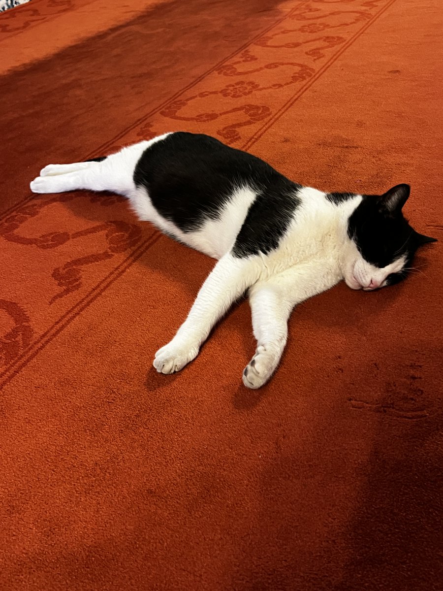 Teravihe gelmişti ama iftarda çok yediği için şişip bayıldı