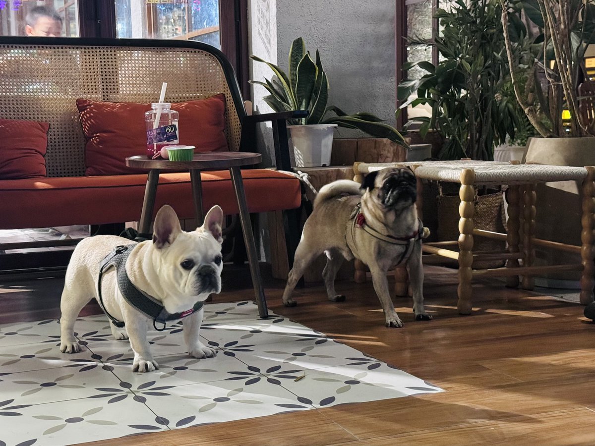 人能不能成功，运气真是占不少一部分原因。

昨天认识一个上海来深圳的品牌创始人，4年前啥也不懂，直接硬干找代运营把ins给做起来了，现在在做小红书抖音天猫，每月销量一千多件几十万流水。

突然想起前男友，大约也是四年前开始做抖音直播，有能力也很努力，从国内做到去东南亚做，还是毫无起色😐