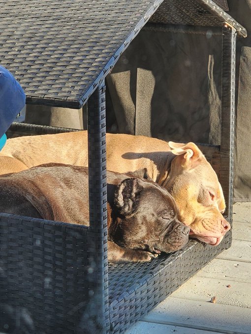 Watch Christy Mack's leaked NSFW photo on TwXstars