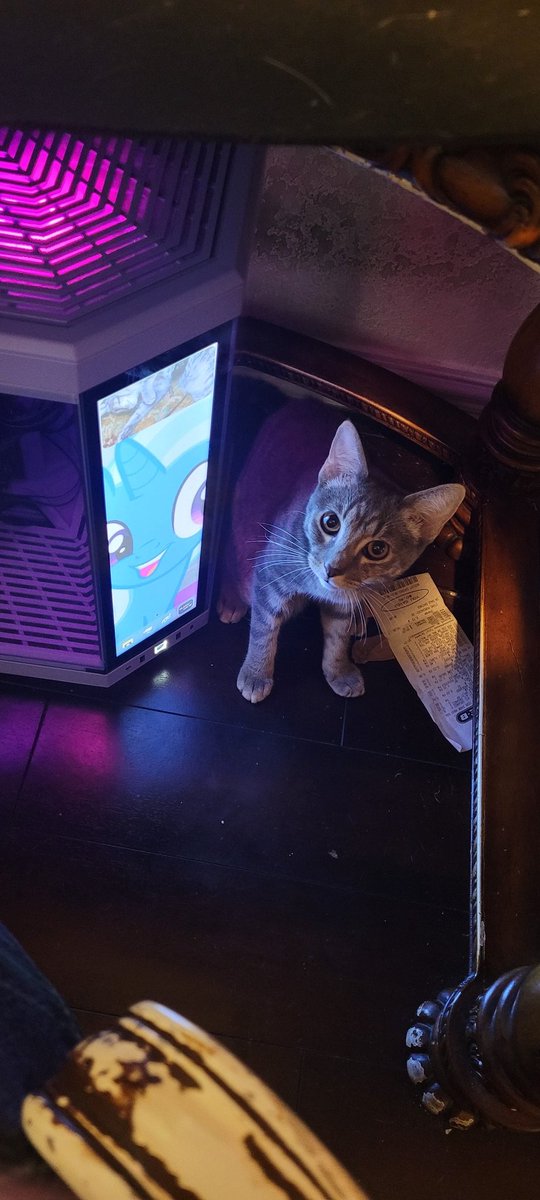 sleepy_skye's tweet photo. Looking for moots 18+! #promotwt
  ◇20 They/Them :3
  ◇Marvel rivals / Overwatch / val
  ◇looking to talk to people and make more friends!!!
  ◇Work full time </3
  ◇My cats are my everything <3

♡ or ⟳for moots :3 

#anitwt #RIVALSTWT #owtwt #valtwt #moothunt #poketwt https://t.co/rArVn6XqOx
