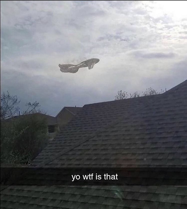 What is it, more brutes?