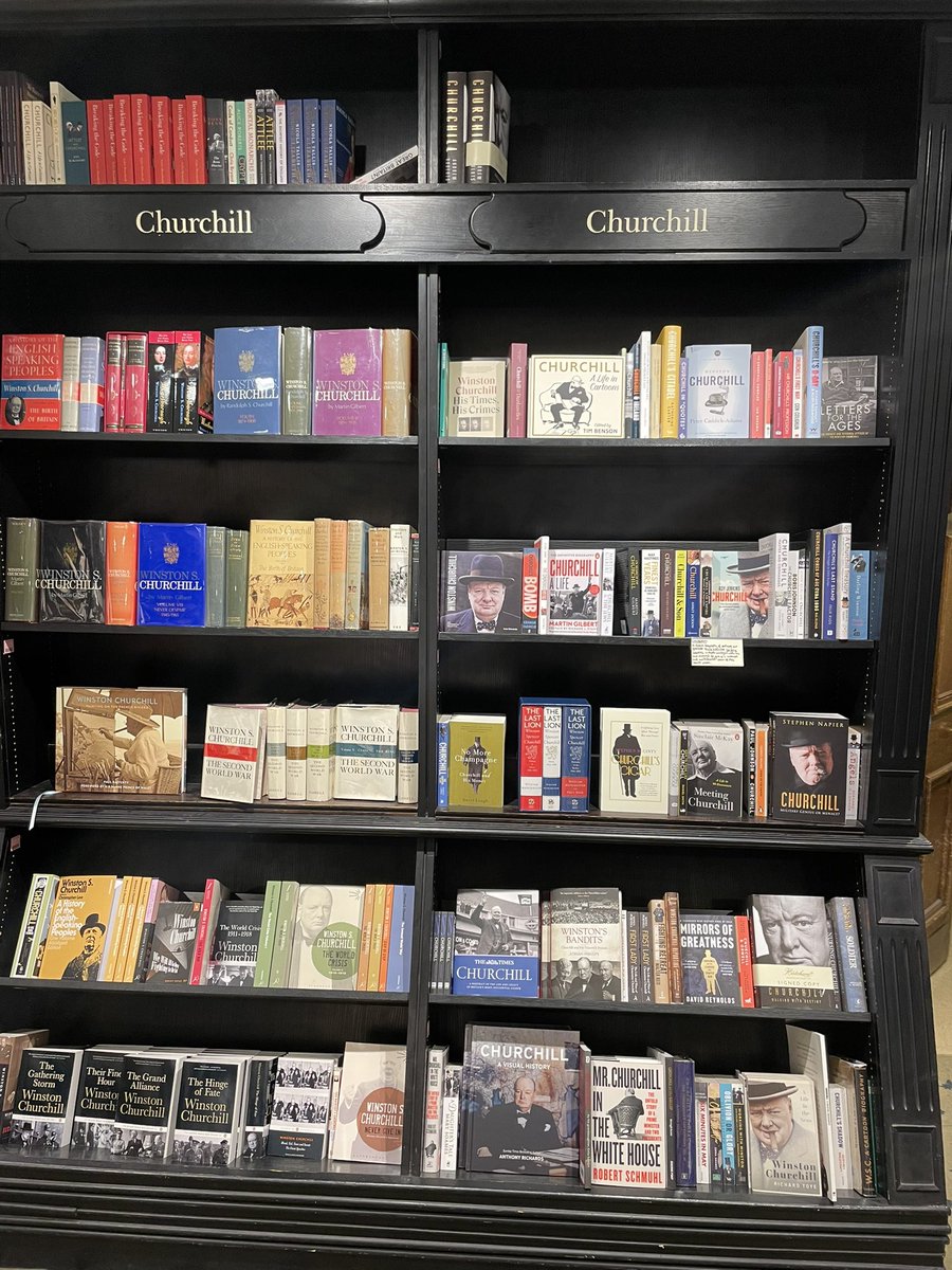 Stephen Gibbs tweet media