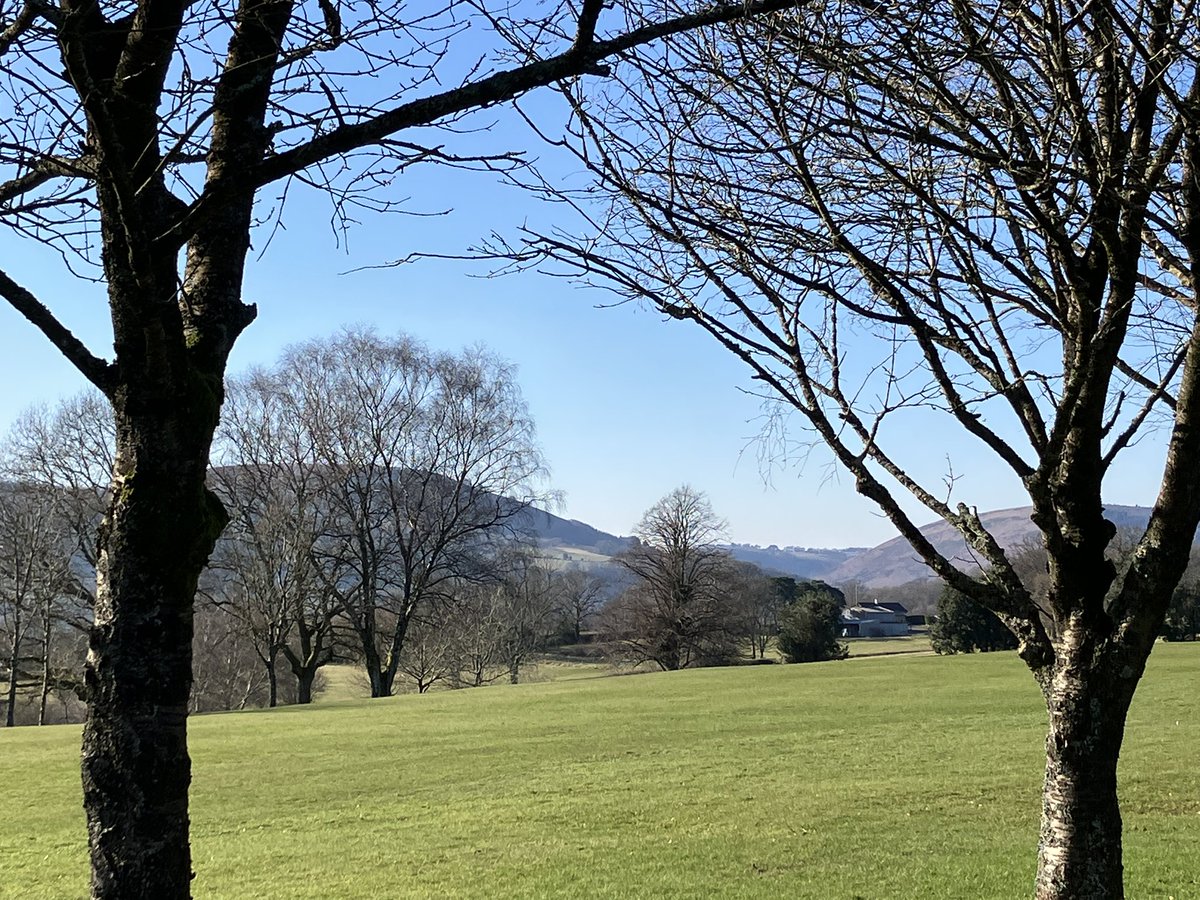 Four!!! 🏌️‍♂️😎👍