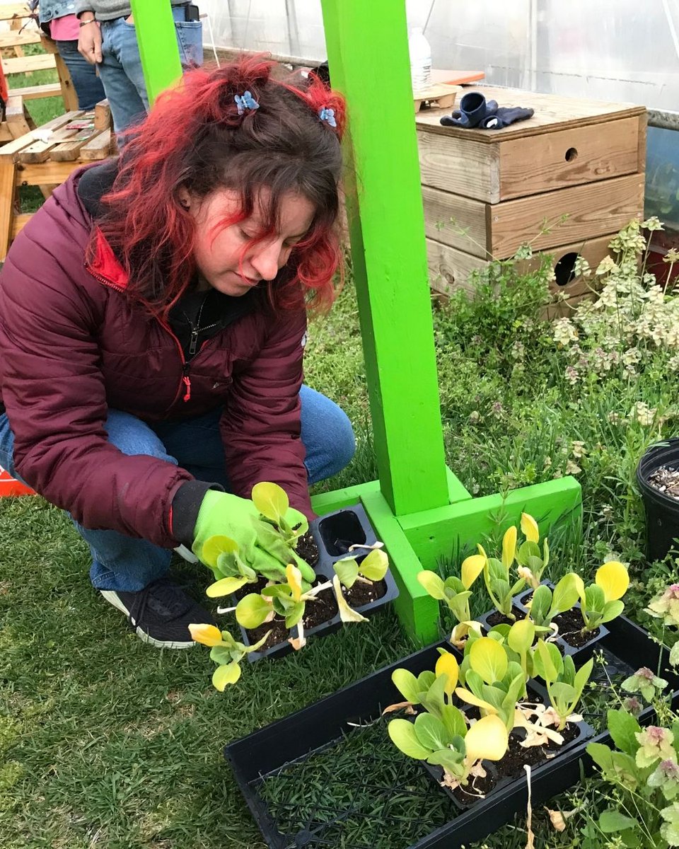 Share Food Program tweet media