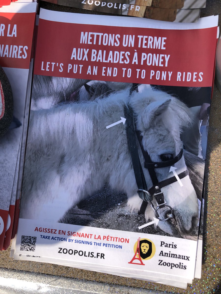 paz_zoopolis's tweet photo. PAZ EN ACTION🐴Les poneys ne sont pas des jouets !
Hier, nous étions au @JardinLuco pr demander à @gerard_larcher @Senat de ne plus autoriser les #BaladesAponey
🎊Grâce à notre campagne, la Mairie de #Paris n'a pas renouvelé les conventions pr ses parcs

🔎https://t.co/G8QCekWYp0 https://t.co/ZfC4jC8qm7