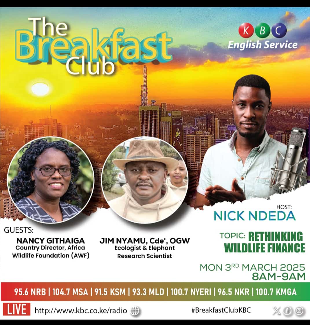 NANCY G (@nancy_githaiga) on Twitter photo Join me tomorrow on <a href="/kbcenglish/">KBC English Service</a> as we celebrate #WorldWildlifeDay.
Tune in for an in-depth conversation on financing #wildlifeconservation; further highlighting wildlifeās vital role in maintaining healthy ecosystems and the urgent need to combat #wildlifecrime & species decline Join me tomorrow on <a href="/kbcenglish/">KBC English Service</a> as we celebrate #WorldWildlifeDay.
Tune in for an in-depth conversation on financing #wildlifeconservation; further highlighting wildlifeās vital role in maintaining healthy ecosystems and the urgent need to combat #wildlifecrime & species decline