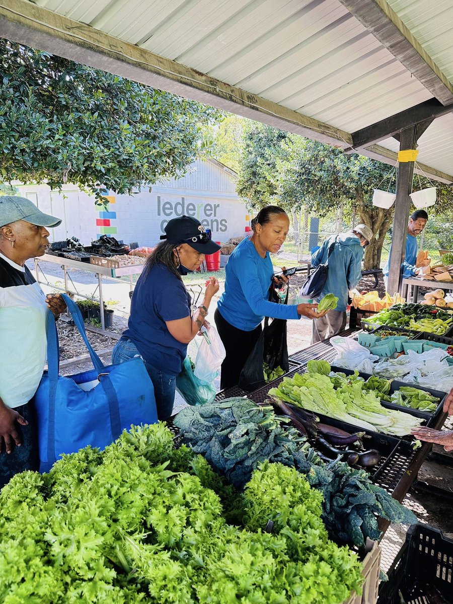 Did you know that you can get fresh produce for free in the District? 🥦

On the second Wednesday of every month, <a href="/DCDPR/">DC Parks & Recreation #WhereFunHappens</a> partners with Capital Food Bank to host veggie giveaways—here's the next one:

🗓️Wed, Mar 12
⏰11AM
📍Lederer Gardens
🔗cafbveggies.splashthat.com