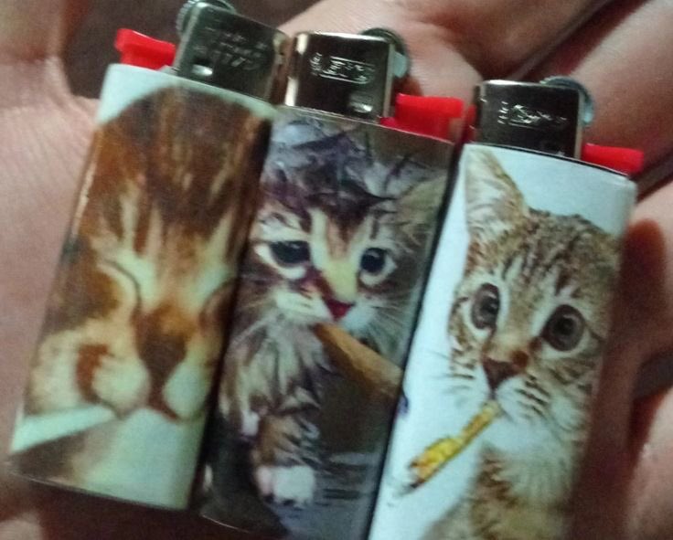 masturbe o cérebro e goze ideias tweet media