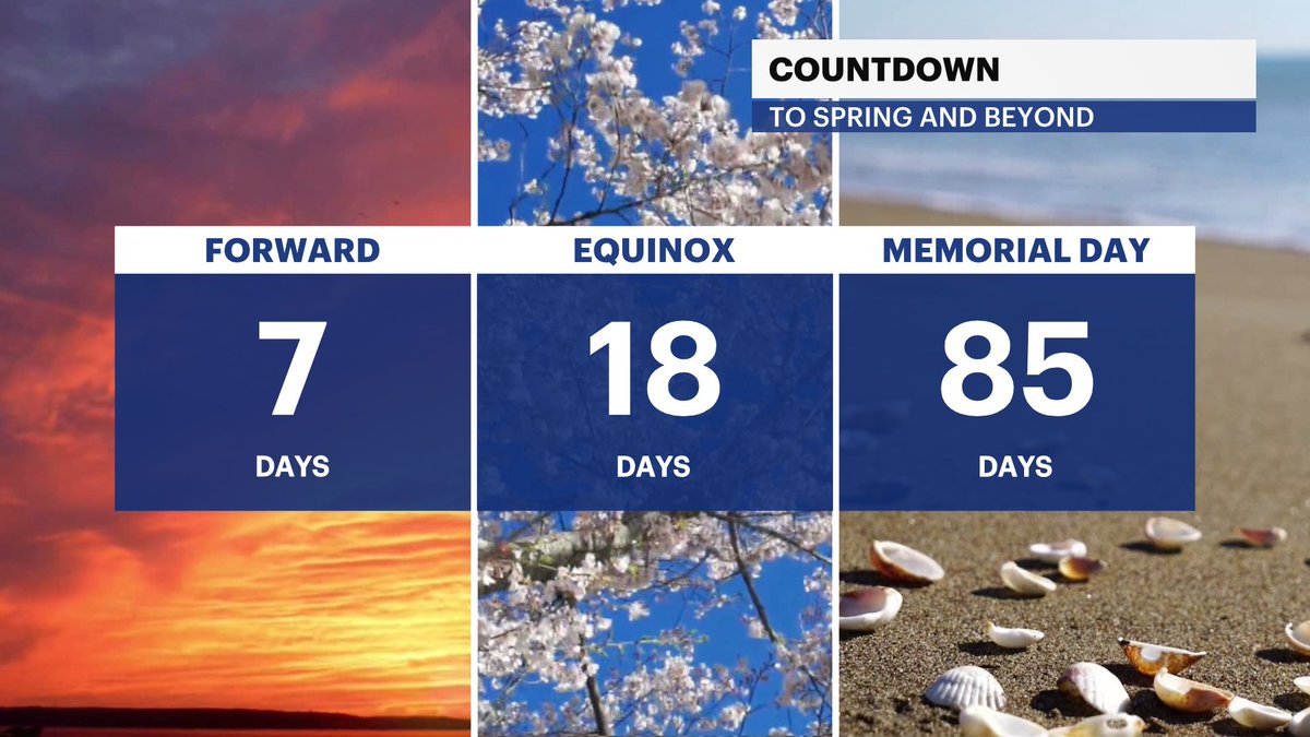 Hilda Estevez tweet media